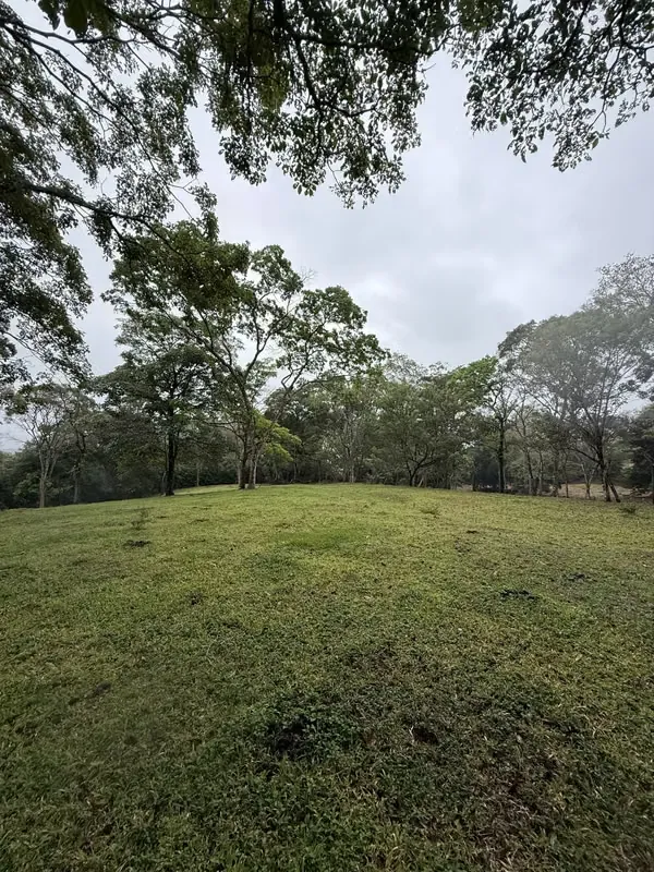 Located in the exclusive area of El Rodeo, Ciudad Colón, this beautiful lot offers a unique experience of connection with nature, ideal for those seeking privacy, ...
