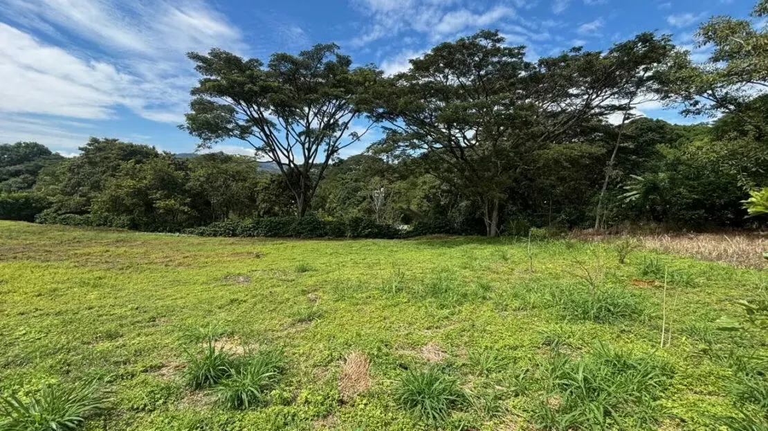 Lote ubicado cerca de la ciudad en una comunidad prometedora en un hermoso entorno natural.