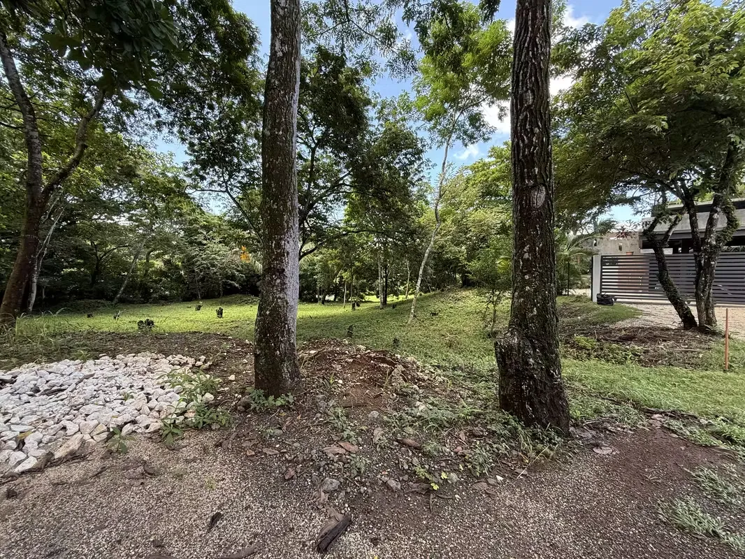 Lotes en venta Guanacaste, Costa Rica, Playa Carrillo, en residencial Bosque del Lago.