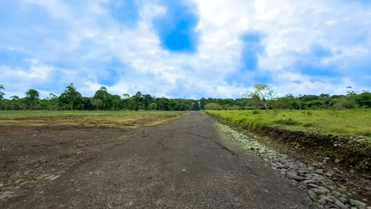Land for Sale in Pococí, Buenos Aires