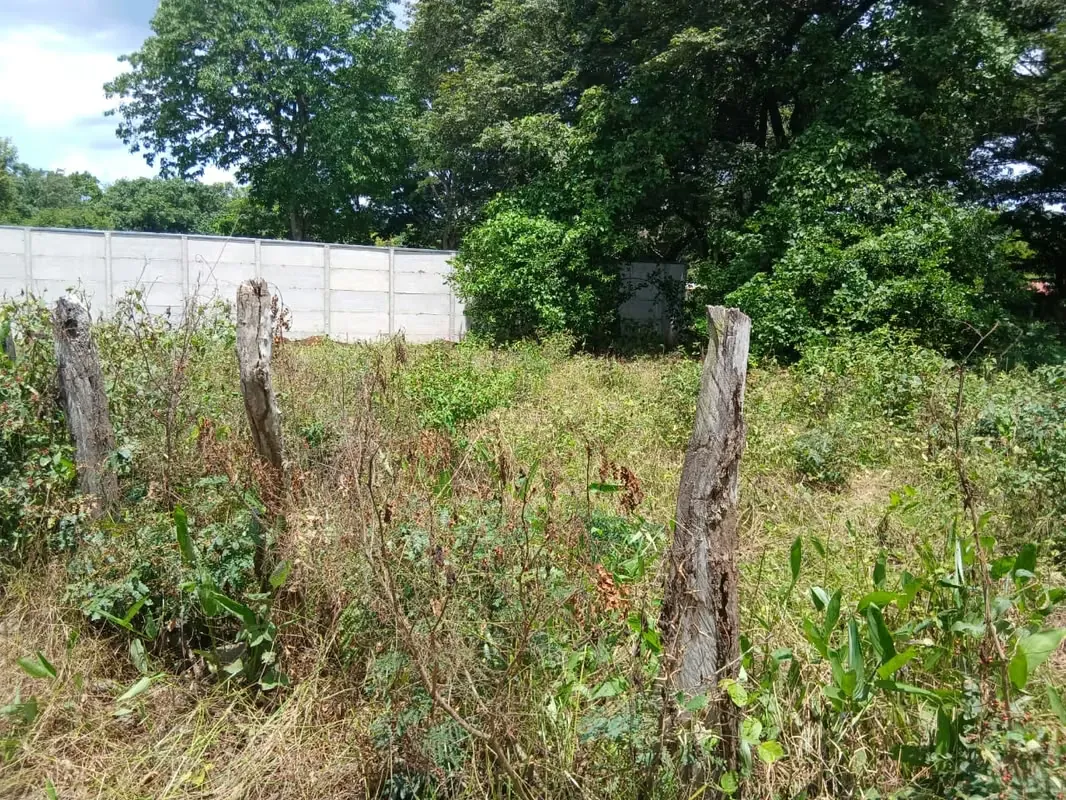 Lot for Sale Sardinal de Carrillo Obandito