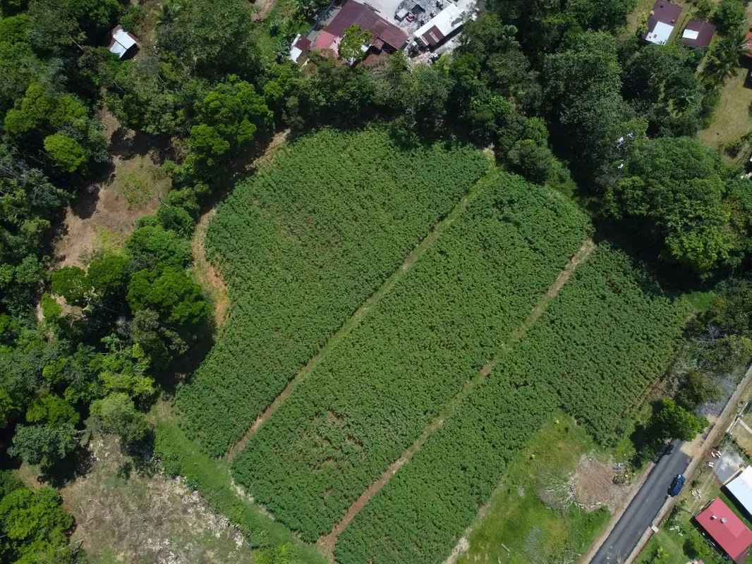 Hermoso Terreno de 18,540 m² en Santa Isabel, Río Cuarto –Desarrollo Residencial o Finca