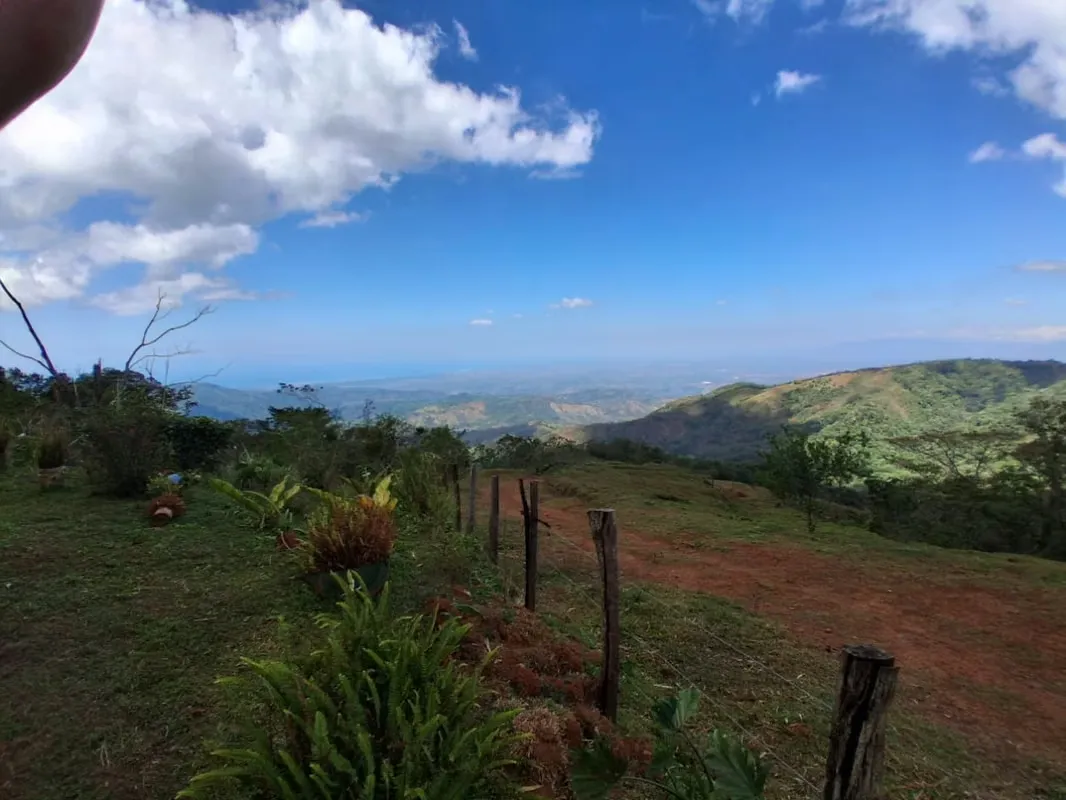 Set high in the mountains of Carara, Turrubares, this exceptional estate offers a unique blend ...