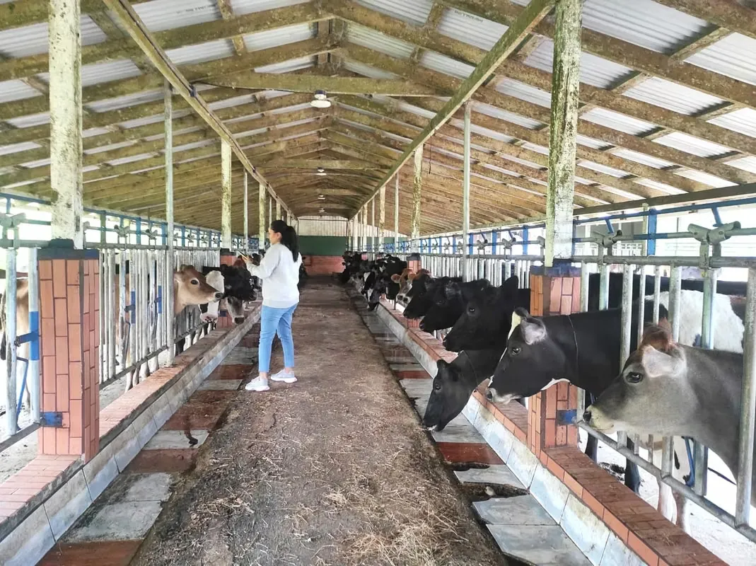 Finca Agrícola con gran potencial en Moravia