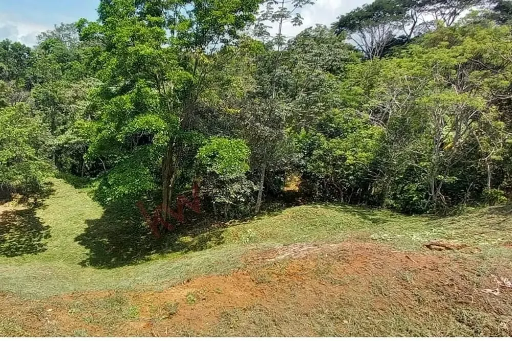 VENDO LOTE EN SANTIAGO DE PURISCAL.
