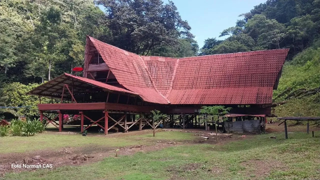 PROPIEDAD PARA DESARROLLADORES 47 HECTAREAS GOLFITO