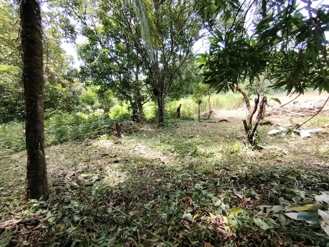 Lot for sale in Santa Marta, Buenos Aires