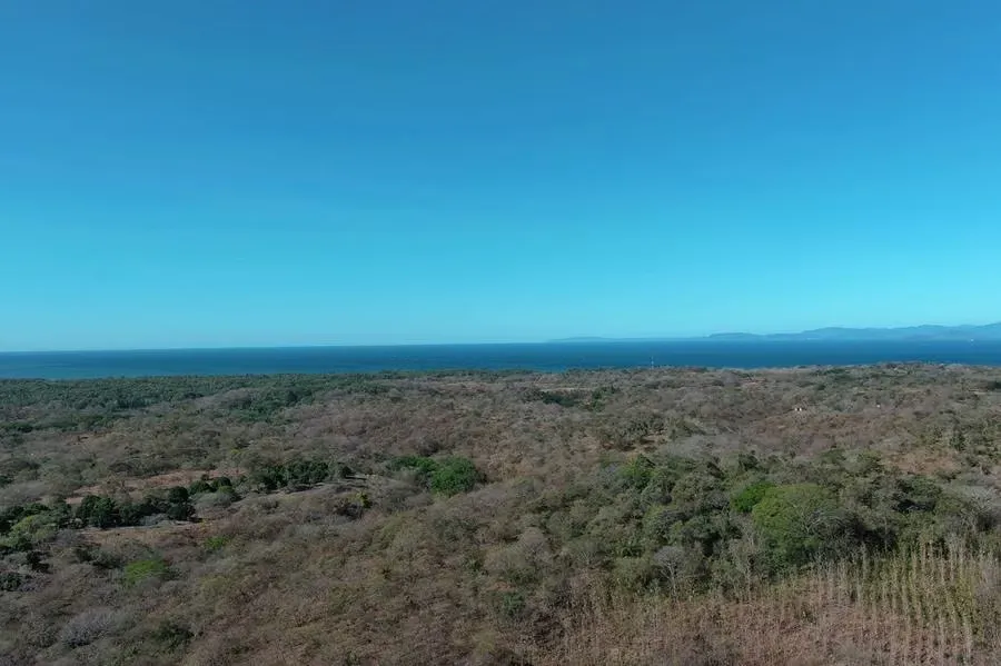 Lote 6,4ha con vistas al Mar y Potencial de Desarrollo