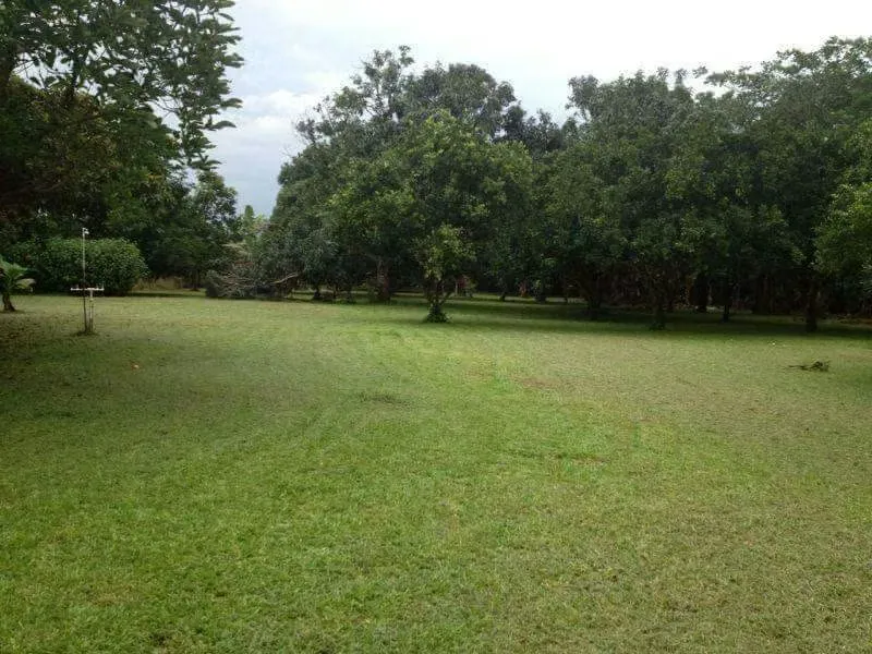 Finca for sale with views of the Tenorio Volcano