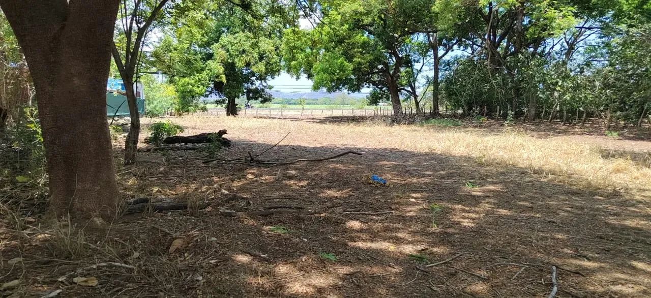 Land for Sale in Filadelfia, Guanacaste