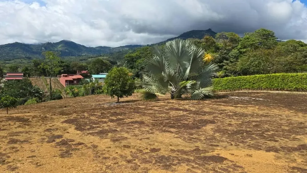 Venta Terreno para Desarrollo La Bonita Peréz Zelefón, San Josè