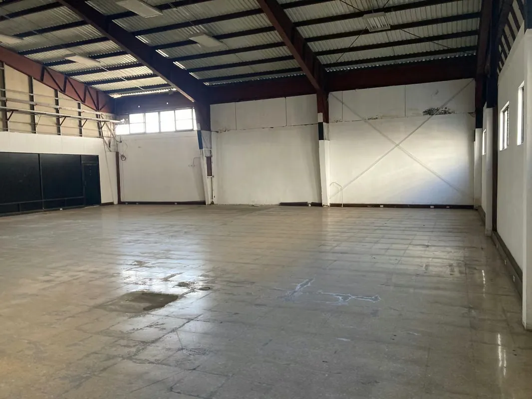 Alquiler Bodega Comercial en Sabana Sur – 319.77 m²