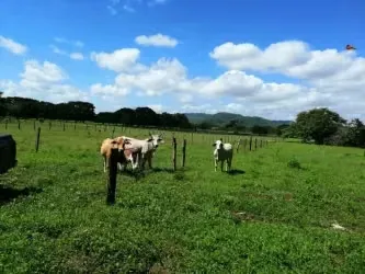 MA Asesorías vende hermosa finca en San Antonio de Nicoya, Guanacaste.