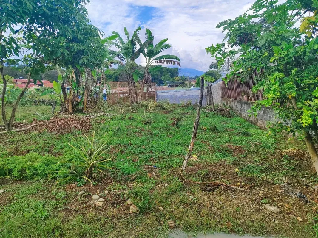 Oportunidad: Lote Plano en Urbanización Halder, Pérez Zeledón.