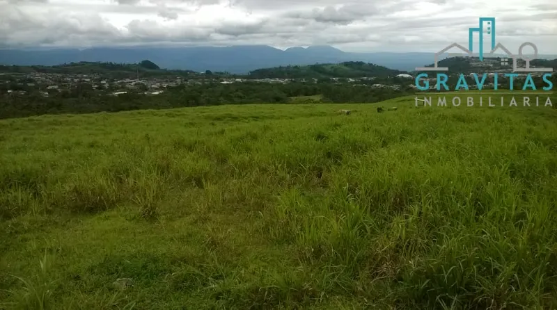 Land for sale in Ciudad Quesada, San Carlos (51,580 m2) ID 1695