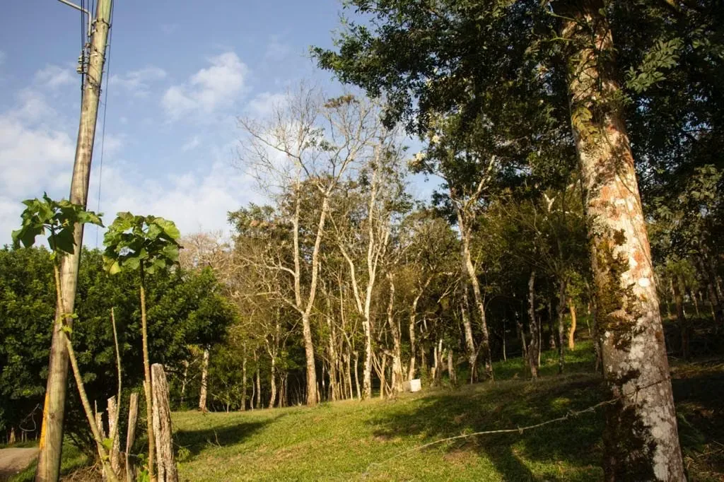 Finca for Sale of 3.7 hectares in Tiarán Guanacaste