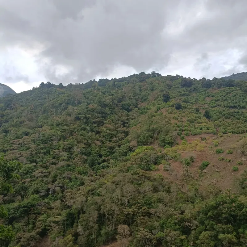 House for Sale – Fresh Mountain Climate and 1,446 m² Property