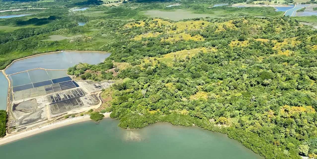 Isla Punta Piedra en Abangares, Guanacaste