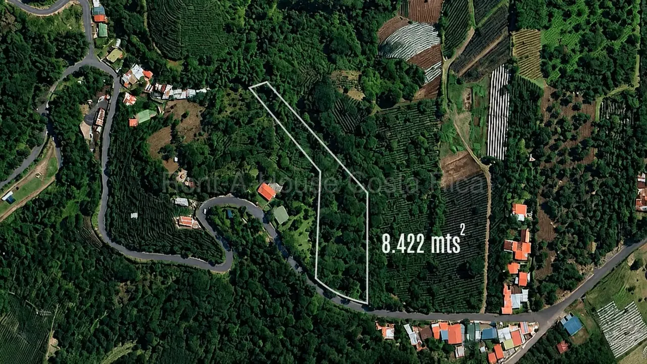 Lote en venta-Naranjo, Cirri sur, Alajuela