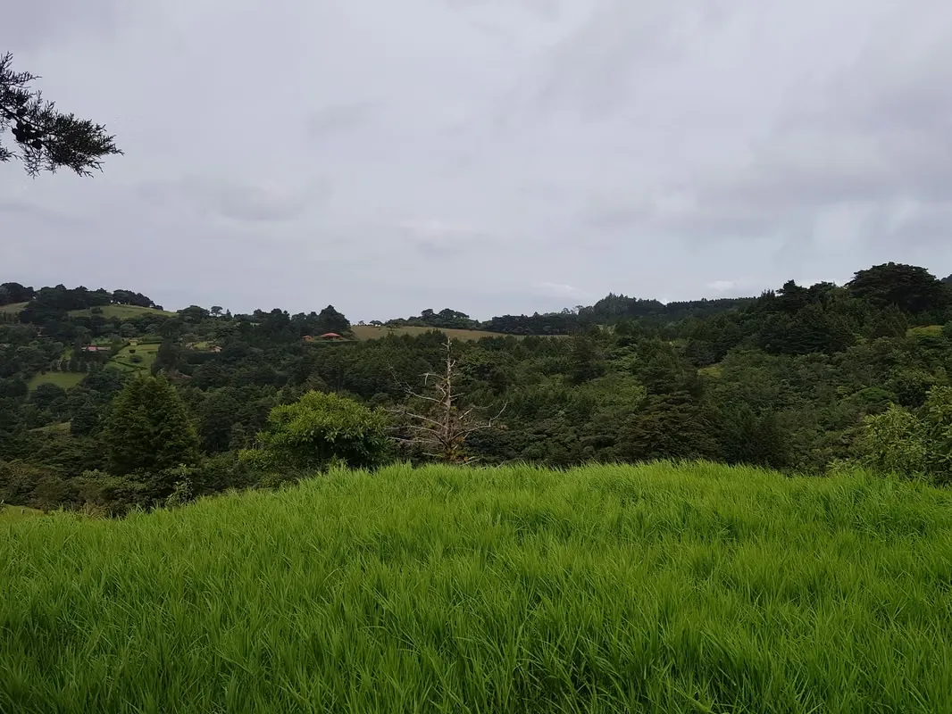 Finca de 1.8 Hectáreas en Concepción de San Rafael, Heredia