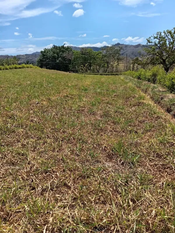 Lote en Hojancha/San Gerardo, agua de AyA, Corriente frente de la propiedad