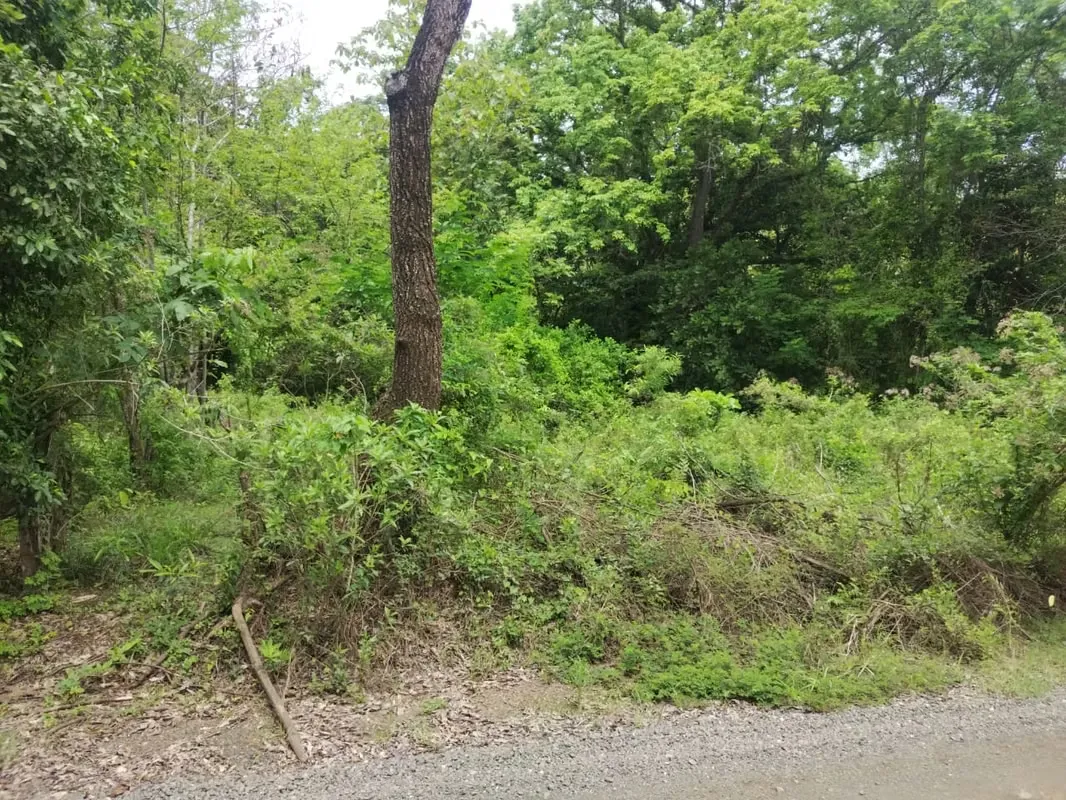 LAND FOR SALE, NEAR CORAZOLITO BEACH. 36-300