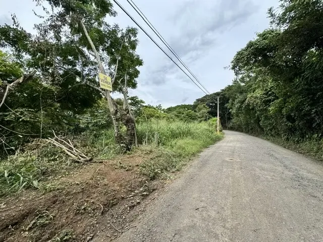 Lote en venta Ciudad Colon Calle los Ponys 420 m2