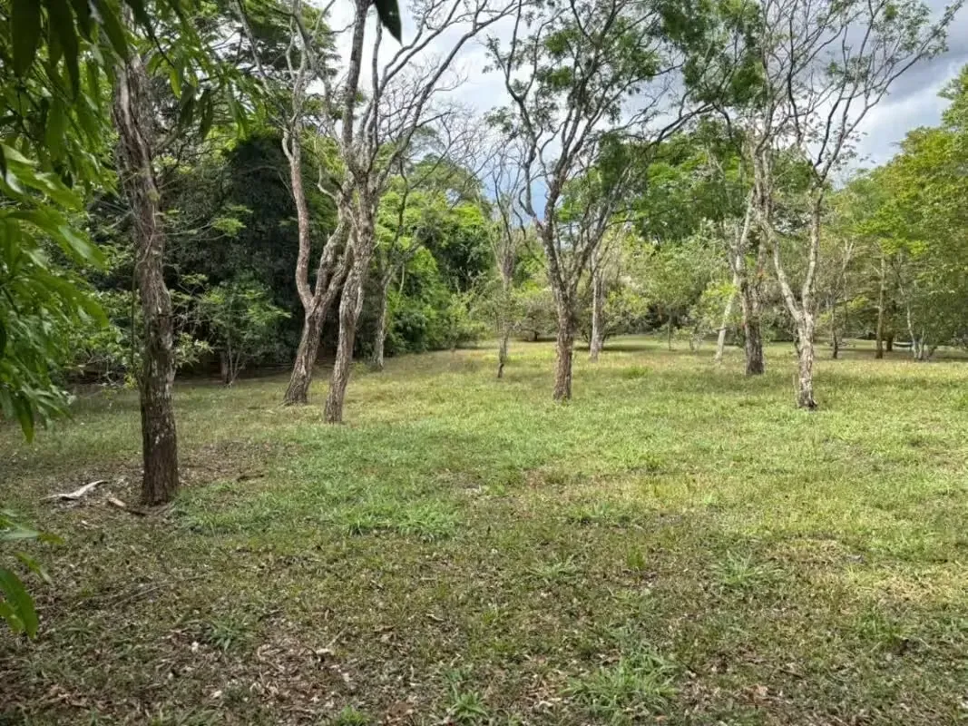 Lot for Sale in Ciudad Colon, San José 2,404 m², near the University for Peace