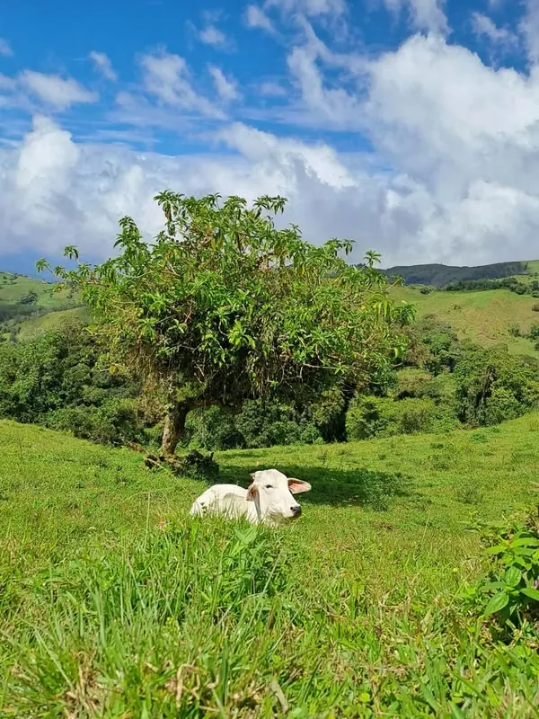 Finca exclusiva entre montañas – vistas espectaculares, naturaleza y privacidad