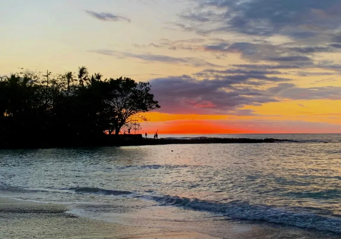 Ubicada a 400 metros de distancia de la playa, se vende este terreno en medio de un exuberante bosque tropical a ...