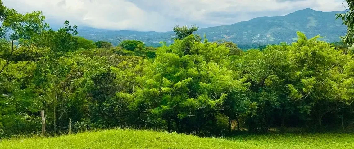Venta de Hermoso Terreno en Ciudad Colón. 26-1024 LCV NEGOCIABLE